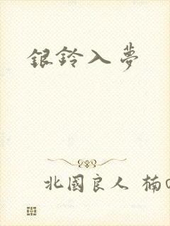 银铃入梦封面