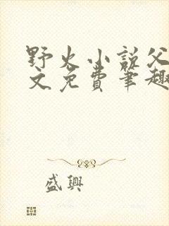 野火小说父女全文免费笔趣阁