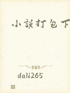 小说打包下载