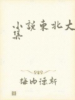 小说东北大炕全集