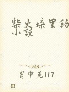 柴火垛里的疯狂小说