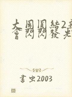 大团圆结2亲情会闪闪发光亲情会2