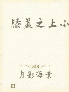 膝盖之上小说封面