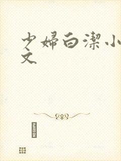 少妇白洁小说全文