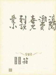 爱到春潮滚滚来小说免费阅读