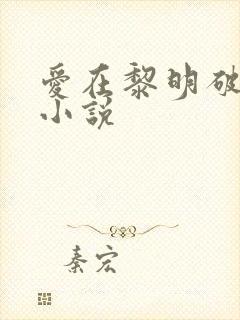 爱在黎明破晓前小说
