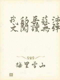 我的岳苏沛真全文阅读无弹窗 笔趣阁封面