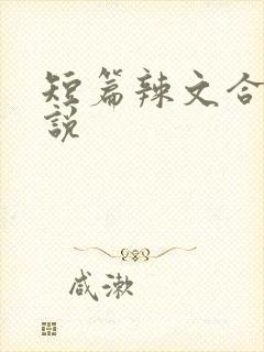 短篇辣文合集小说