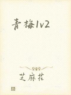青梅1v2
