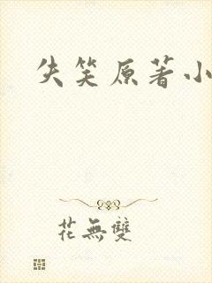 失笑原著小说封面