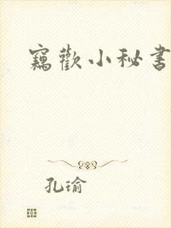 窃欢小秘书封面