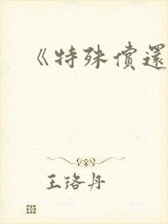 《特殊偿还》封面