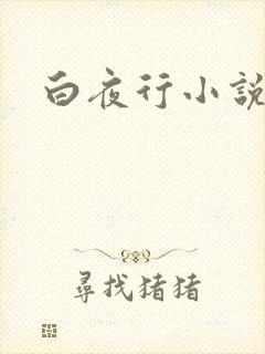 白夜行小说下载