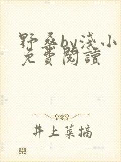 野桑by浅小说免费阅读