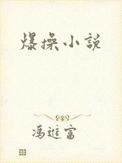 爆操小说封面