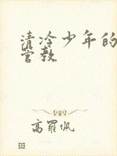 清冷少年的严厉管教封面