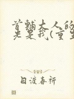 首辅大人的白月光是我(重生)