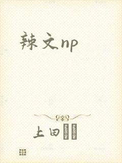 辣文np