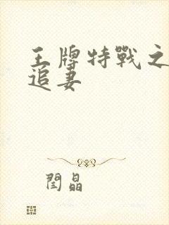 王牌特战之军少追妻封面