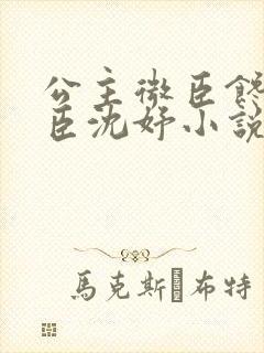 公主微臣馋了微臣沈妤小说