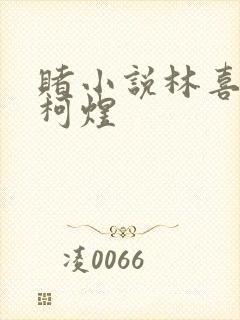 赌小说林喜朝和柯煜封面