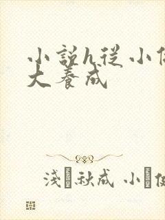 小说h从小做到大养成封面