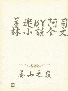 着迷BY阿司匹林小说全文免费阅读