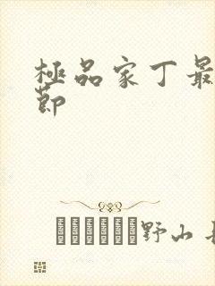 极品家丁最新章节