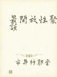 最开放性聚会小说封面