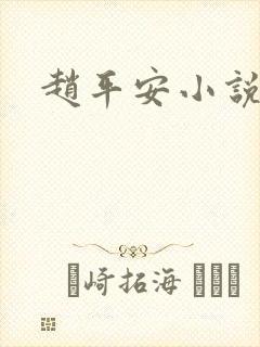 赵平安小说主角