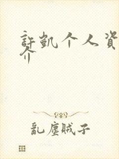 许凯个人资料简介