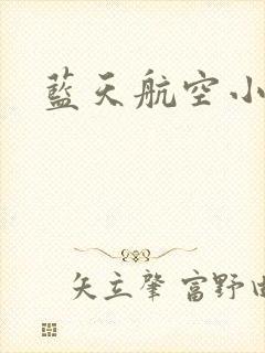 蓝天航空小说