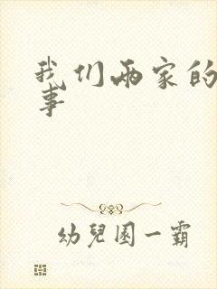 我们两家的荒唐事封面