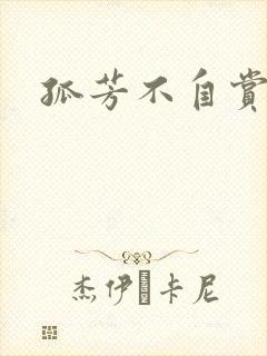 孤芳不自赏小说