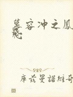 慕容冲之凤凰于飞
