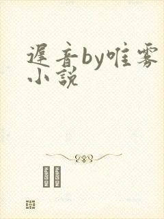 迟音by唯雾的小说