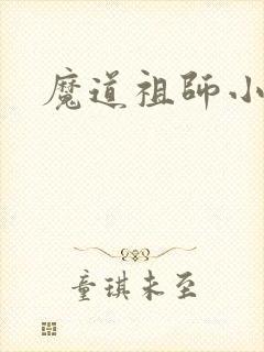 魔道祖师小说
