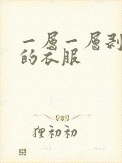 一层一层剥开你的衣服