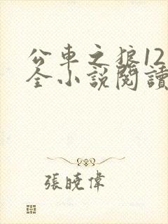 公车之狼12集全小说阅读