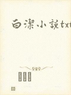 白洁小说txt