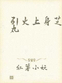 引火上身芝麻糖丸封面