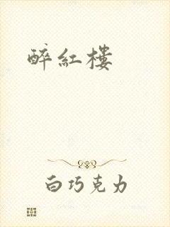 醉红楼封面
