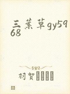 三叶草gy5968封面