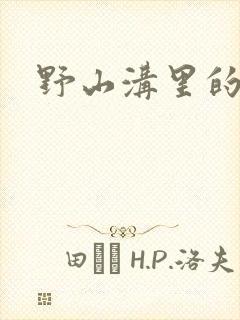 野山沟里的村庄