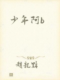 少年阿b
