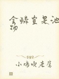 金鳞岂是池中之物封面