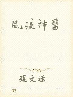 风流神医封面
