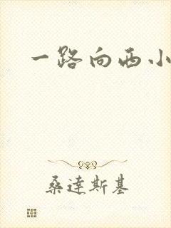 一路向西小说