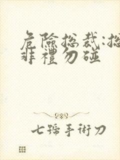 危险总裁:总裁非礼勿碰封面