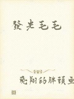 发光毛毛封面